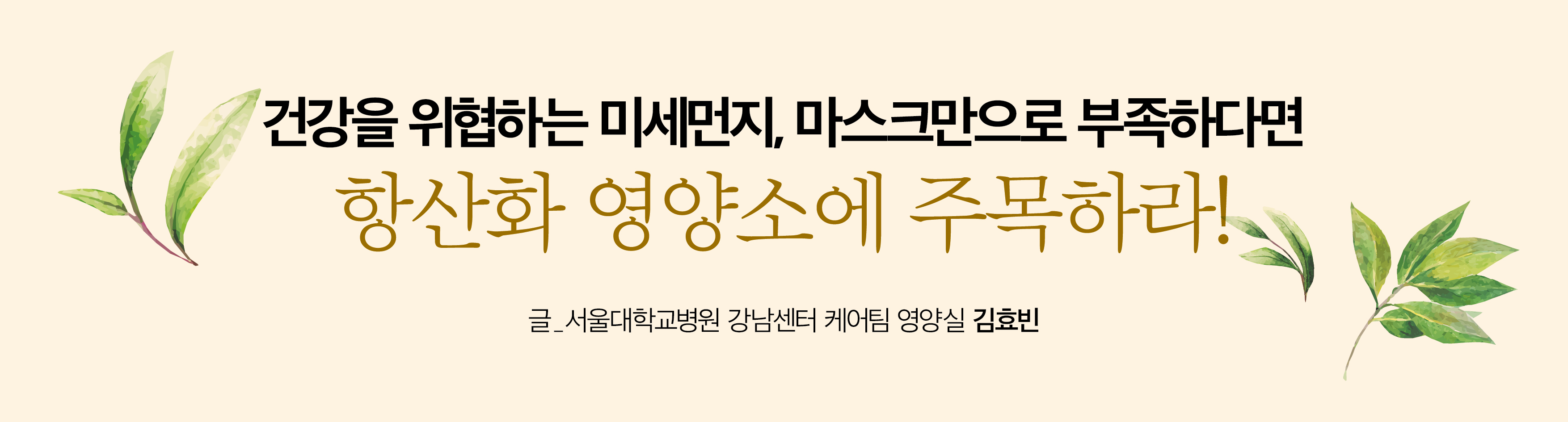 타이틀
